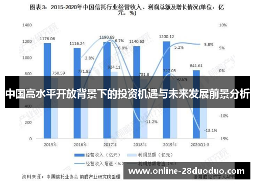 中国高水平开放背景下的投资机遇与未来发展前景分析