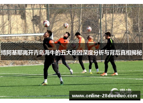 博阿基耶离开青岛海牛的五大原因深度分析与背后真相揭秘