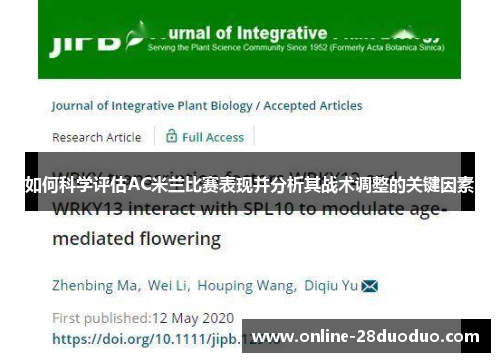 如何科学评估AC米兰比赛表现并分析其战术调整的关键因素