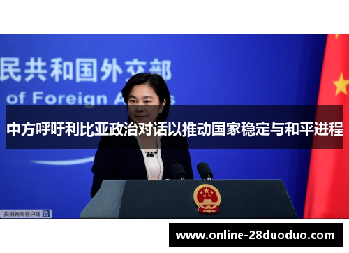 中方呼吁利比亚政治对话以推动国家稳定与和平进程