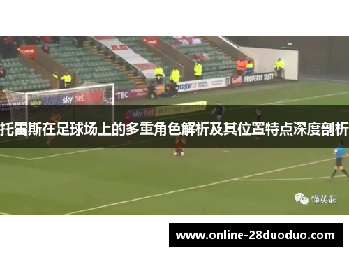 托雷斯在足球场上的多重角色解析及其位置特点深度剖析