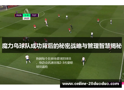 魔力鸟球队成功背后的秘密战略与管理智慧揭秘