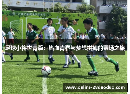足球小将世青篇：热血青春与梦想拼搏的赛场之旅